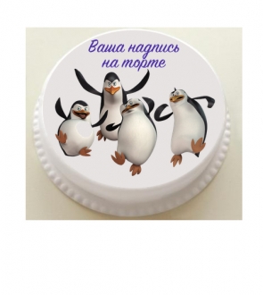 Пингвины из Мадагаскара